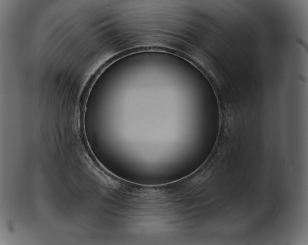 X0000102021076200807181321