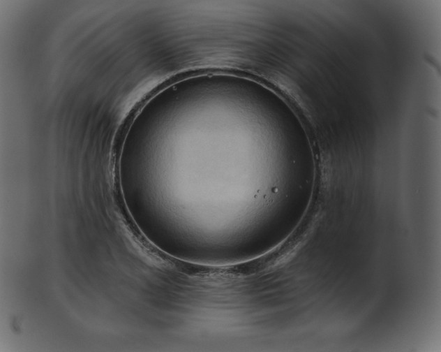 X0000102021077200807181320