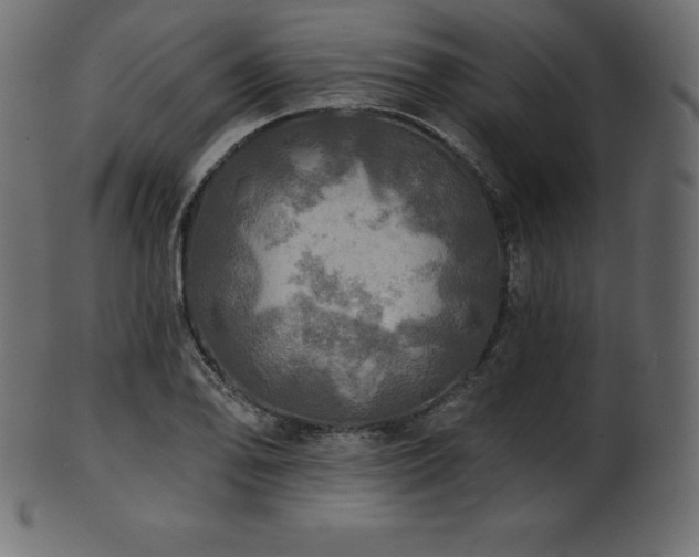 X0000102021078200807181320