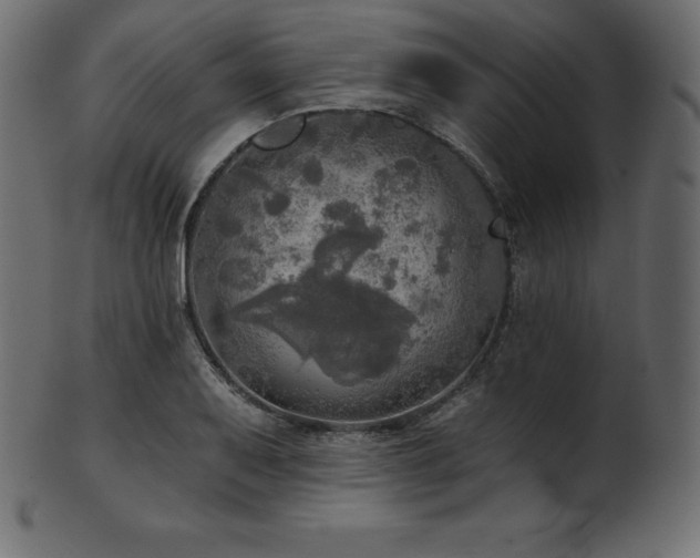 X0000102021079200807181320