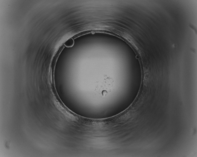X0000102021080200807181320