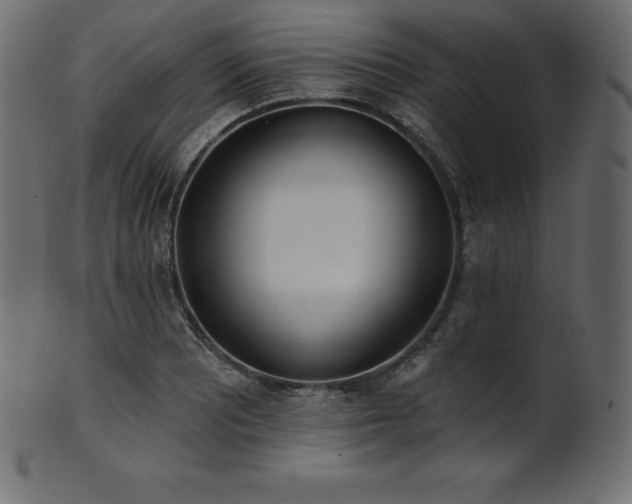 X0000102021081200807181320