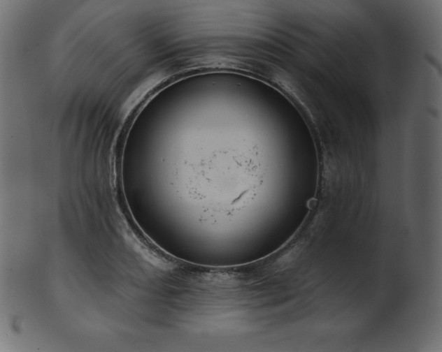 X0000102021082200807181320