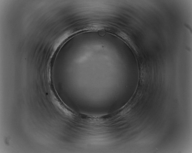 X0000102021083200807181320