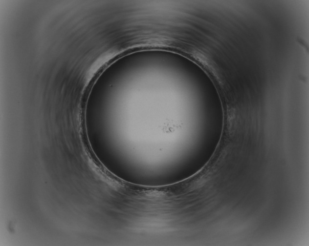 X0000102021085200807181320