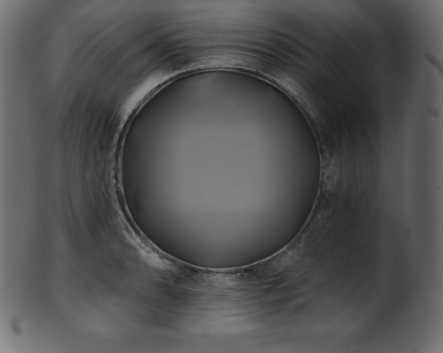 X0000102021086200807181320