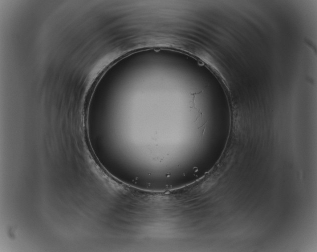 X0000102021088200807181320