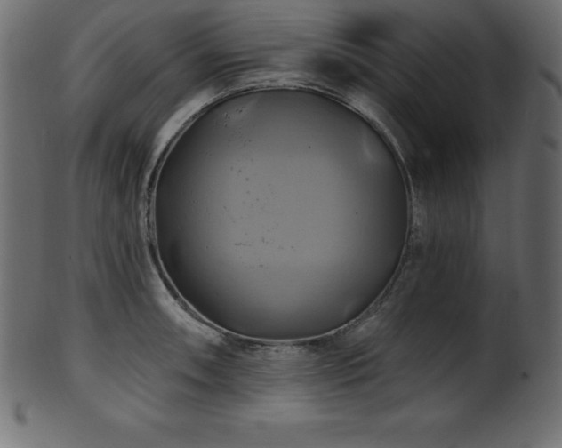 X0000102021090200807181320