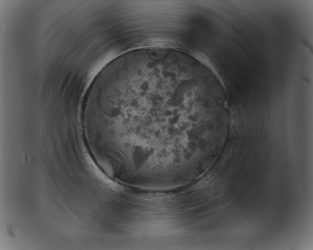 X0000102021091200807181320