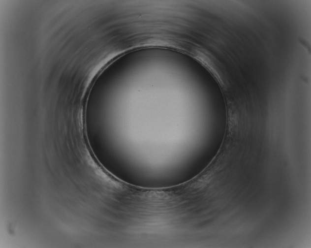 X0000102021092200807181320