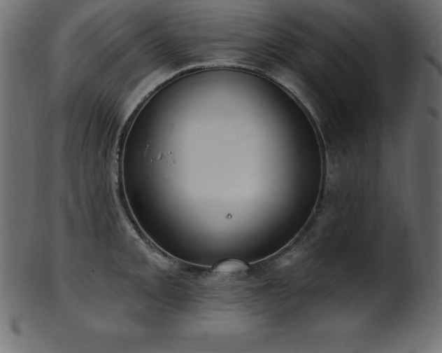 X0000102021093200807181320