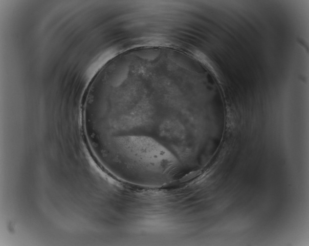X0000102021095200807181320