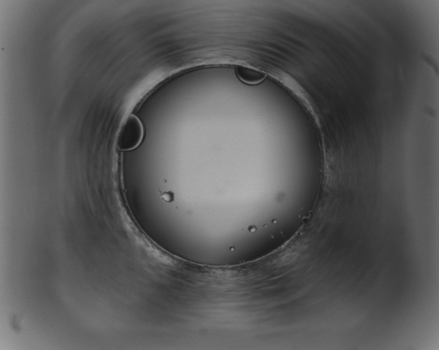X0000102021096200807181320