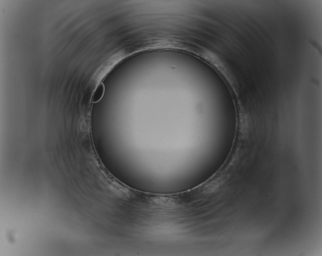 X0000102021097200807181320