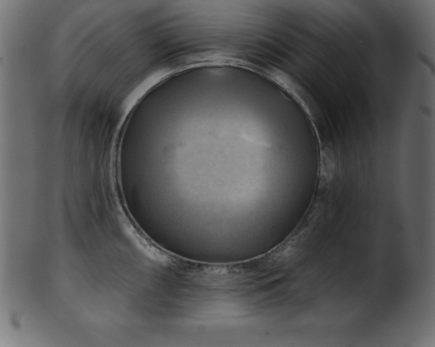X0000102021098200807181320