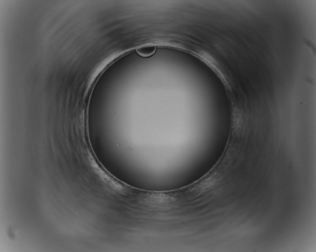 X0000102021100200807181320