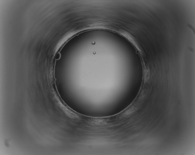 X0000102021101200807181320