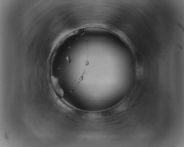 X0000102021102200807181320