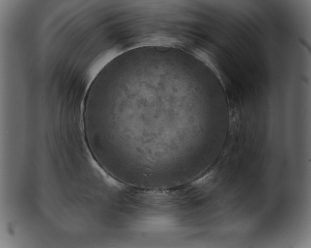 X0000102021103200807181320