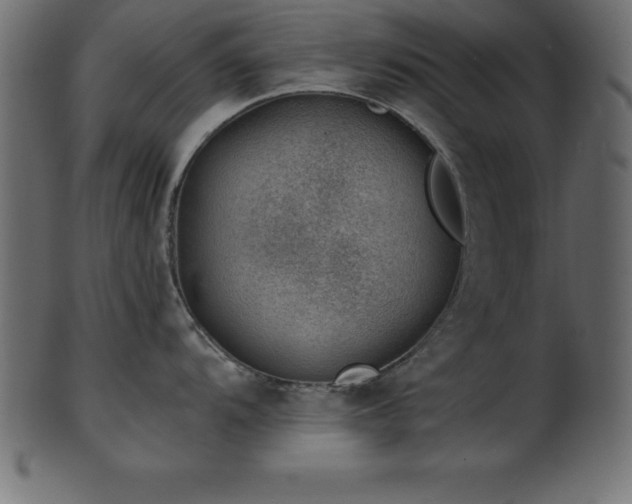 X0000102021104200807181320