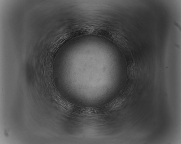 X0000102021105200807181319