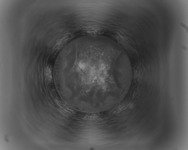 X0000102021106200807181319