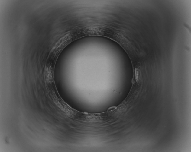 X0000102021107200807181319