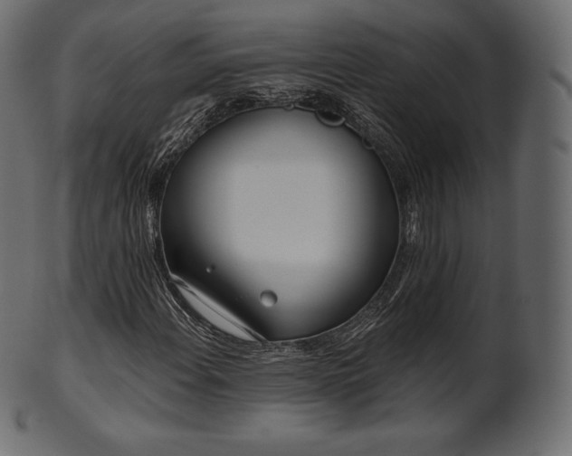 X0000102021108200807181319