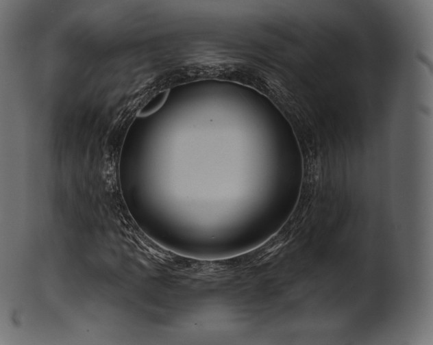 X0000102021109200807181319