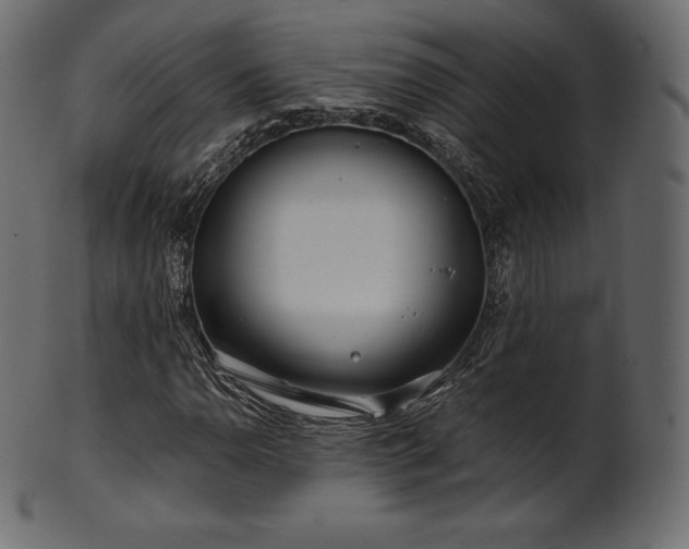 X0000102021110200807181320