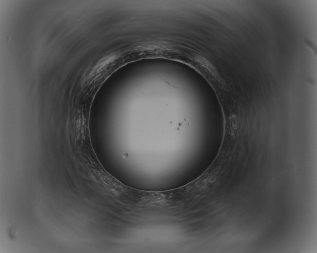 X0000102021111200807181320