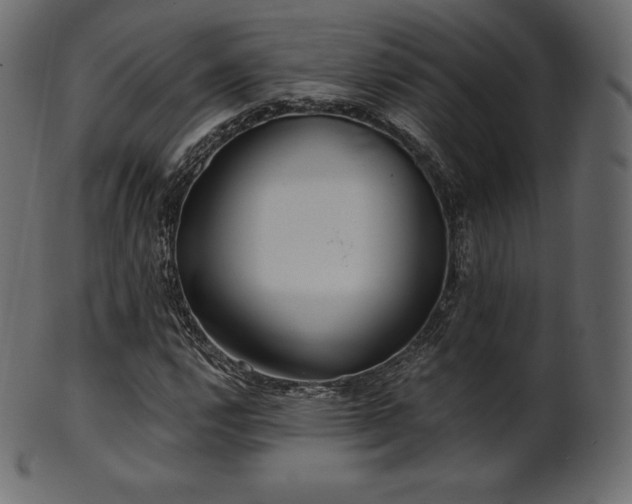 X0000102021112200807181320