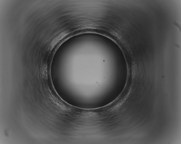 X0000102021113200807181320
