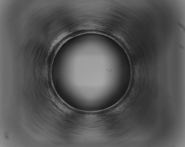 X0000102021114200807181320