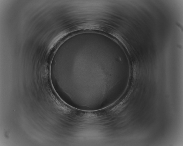 X0000102021115200807181320