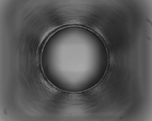 X0000102021116200807181320