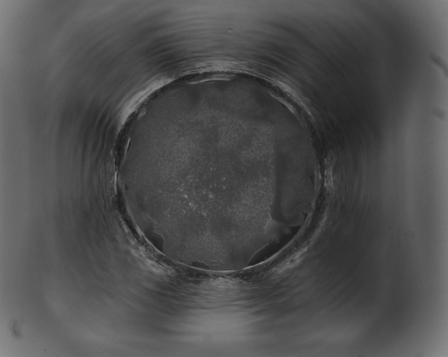 X0000102021117200807181320