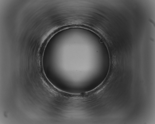 X0000102021118200807181320