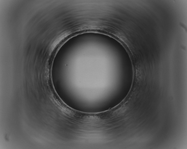 X0000102021119200807181320