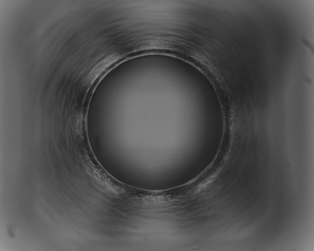 X0000102021121200807181320