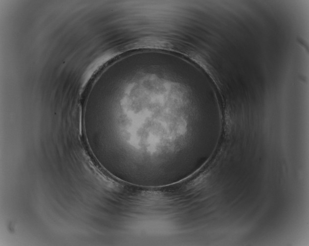 X0000102021123200807181320