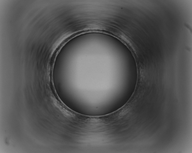 X0000102021124200807181320