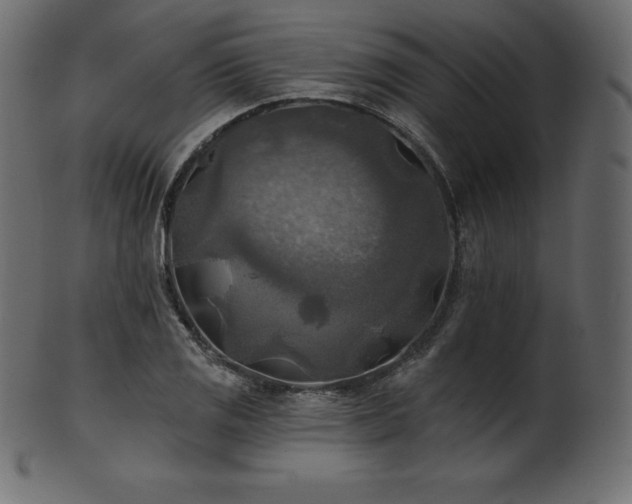 X0000102021125200807181320
