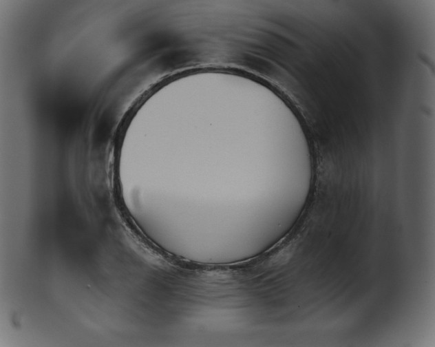 X0000102021126200807181320