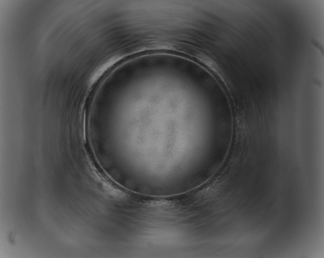 X0000102021127200807181320