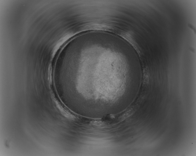 X0000102021128200807181320