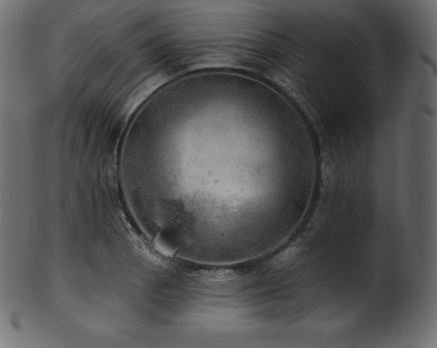 X0000102021129200807181320