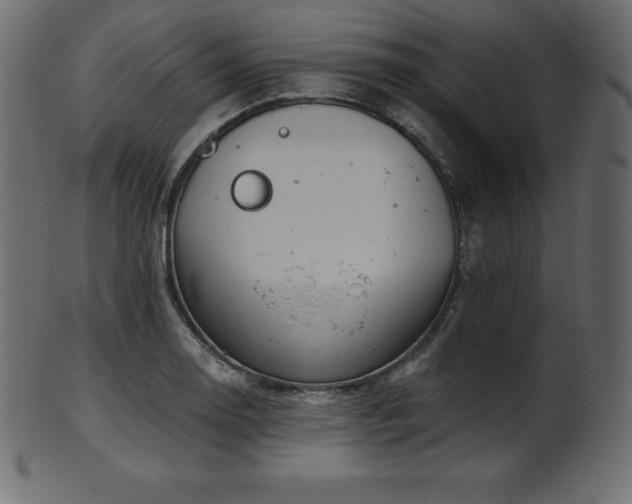 X0000102021130200807181320