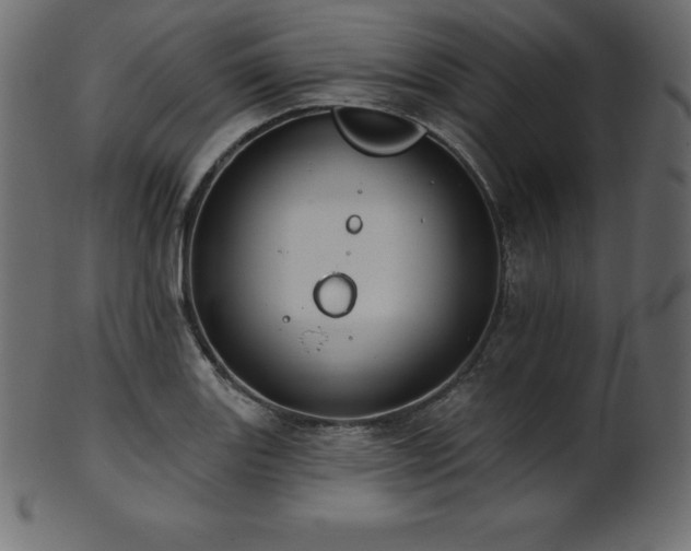 X0000102021131200807181320