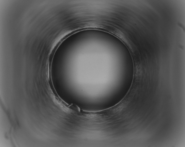 X0000102021132200807181320